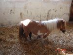 DSC01195.JPG