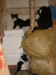 DSC01455.JPG