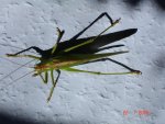 DSC01648.JPG