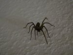 DSC01673.JPG