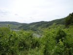 DSC02824.JPG