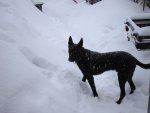 DSC03596.JPG