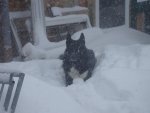 DSC03600.JPG