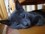 DSC04700.JPG