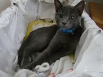 DSC04702.JPG