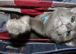 DSC04704.JPG