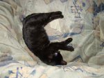 DSC04966.JPG