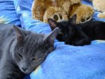 DSC05007.JPG
