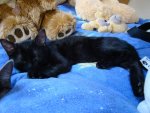 DSC05008.JPG