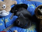 DSC05015.JPG