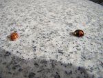DSC05128.JPG