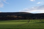IMGP0297.jpg