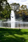 DSC_0640.jpg