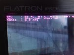 1557439_527326940698012_762490992_n.jpg
