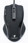 IMGT3805.jpg