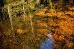 Spiegelwelt.jpg