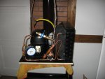 IMG_5271.JPG