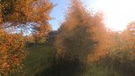 2014-01-09_00002.jpg
