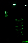 20140116_191144.1.png