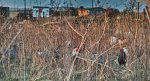 DP3M0764.jpg