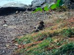 DSCF0181.jpg