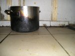 P1010007.jpg