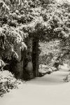 PK5_2256_SW.jpg