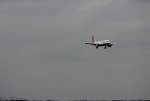 IMG_3008.JPG