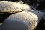 DSC06110_900.jpg