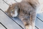 DSC_6106.JPG