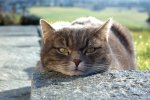 DSC_6125.jpg