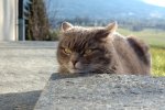 DSC_6135.jpg