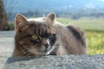 DSC_6136.jpg