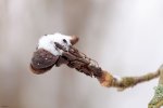 _DSC8574k.jpg