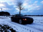 z42.JPG