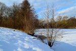 DSC_0480.JPG