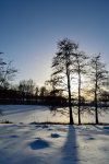DSC_0506.JPG