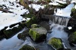 DSC_0508.JPG