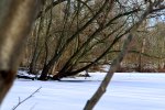 DSC_0476.JPG