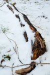 DSC_0473.jpg
