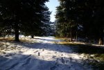 DSC06148_900.jpg
