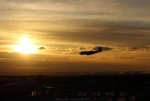 IMG_3537.JPG
