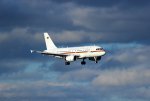 A310.JPG