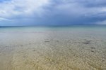 DSC04374pcgh.jpg