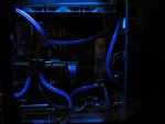 Dodo-PC 01_2014 c.JPG