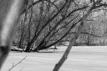 SW_DSC_0477.jpg