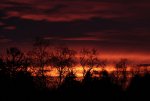 IMG_3694.JPG