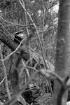 DSC_6287.JPG