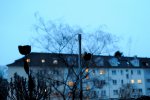 DSC_0722.jpg