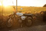 DSC02981_DxO.jpg